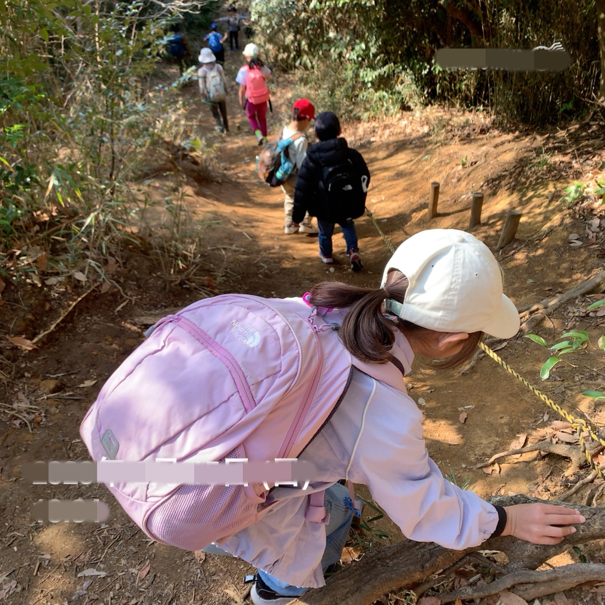 鎌倉の山を歩いて遊ぼう