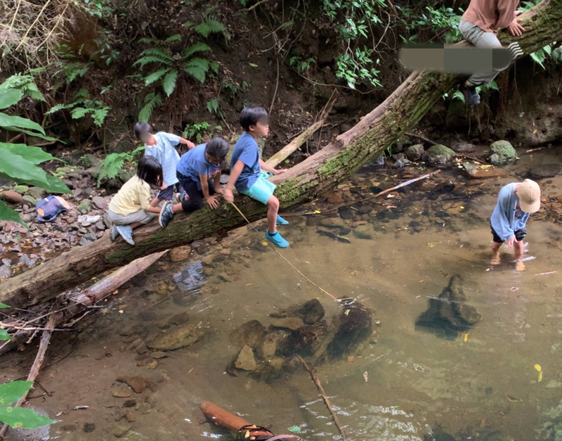 鎌倉の山を歩いて遊ぼう