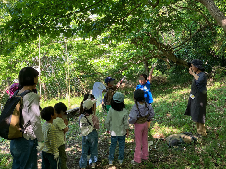 山の手入れと山あそび