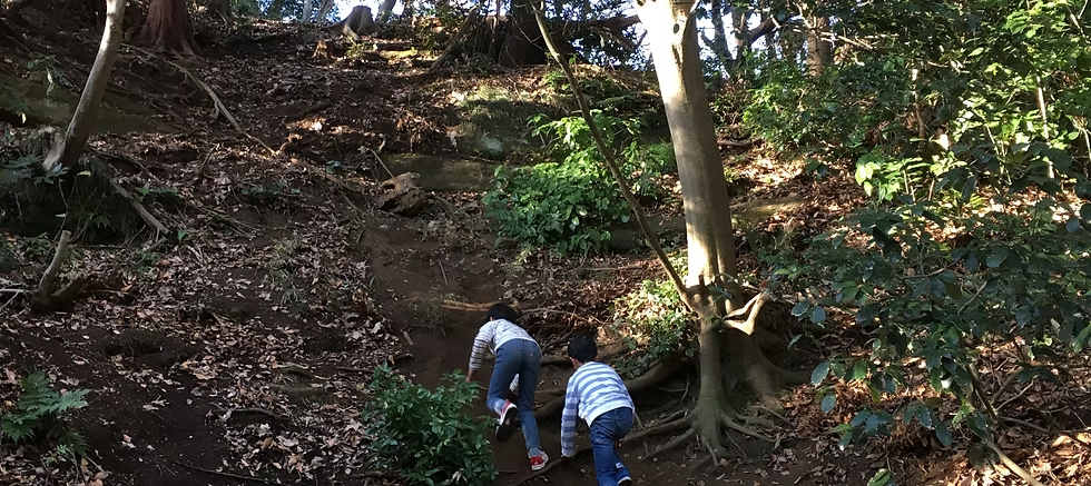 やまもりの風景